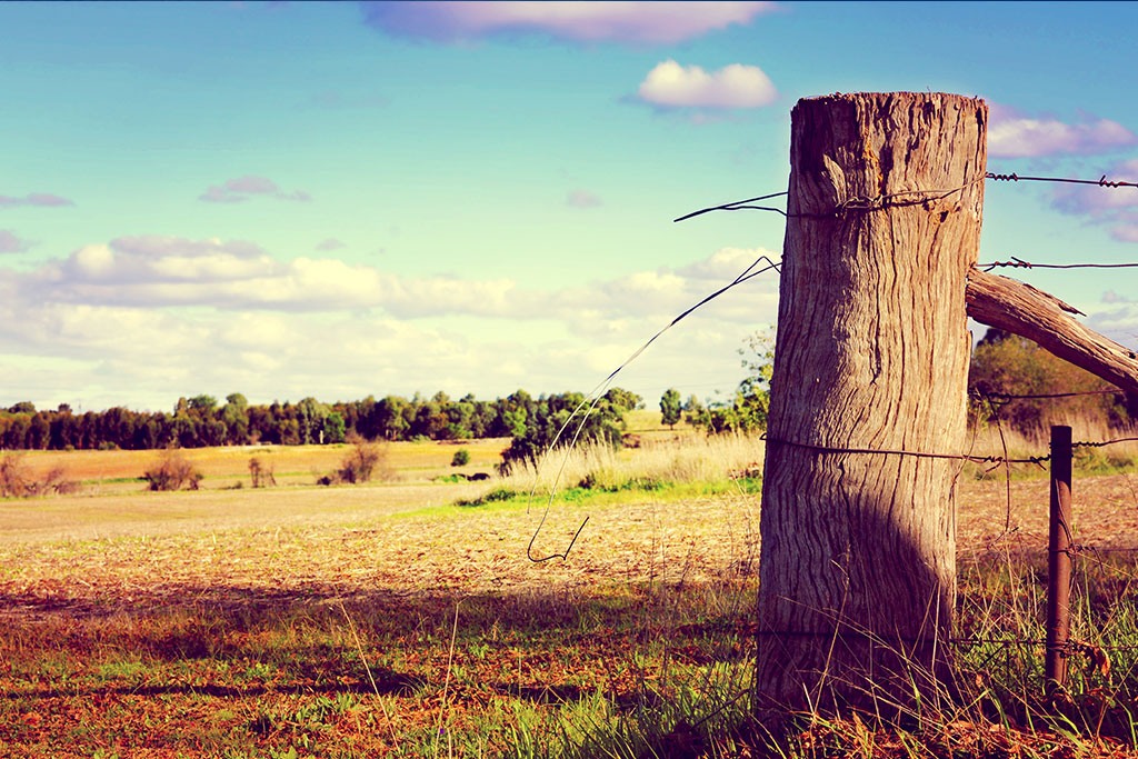 country-SA-wooden-fence-with-barb-wire.jpg#asset:964